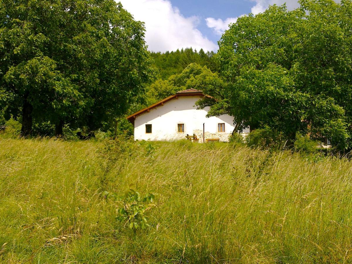 Bed and Breakfast Chez Louve Bleue Hotonnes Zewnętrze zdjęcie